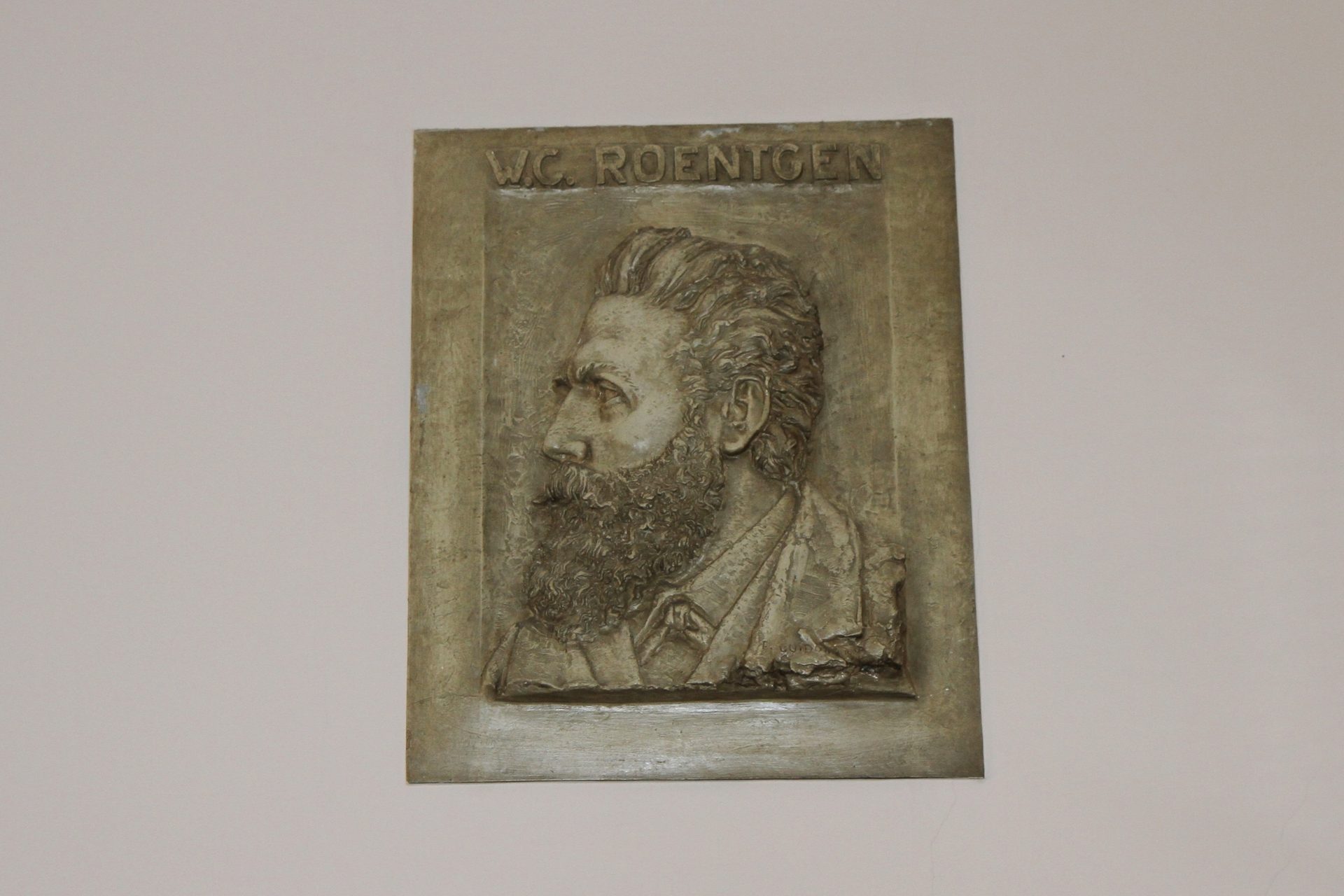 Wilhelm Conrad Roentgen bas-relief, Radiological pavilion, old Ospedale Principessa di Piemonte, Bergamo (4).JPG